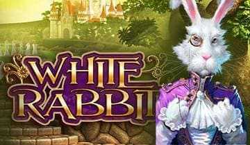 Игровой автомат White Rabbit